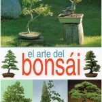 EL ARTE DEL BONSAI